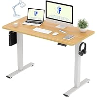 FLEXISPOT 電動式スタンディングデスク 幅120×奥行60,メモリ機能付 Amazon | FLEXISPOT 電動式スタンディングデスク(幅120×奥行60