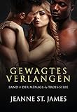  Gewagtes Verlangen (Die Ménage-à-trois-Serie 4)