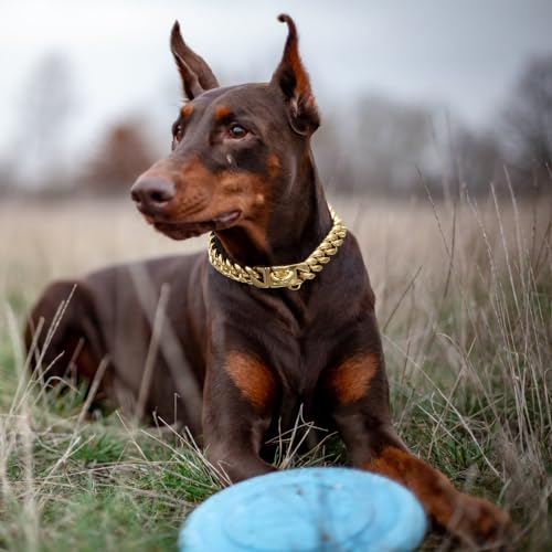 Cuban Dog Collar, Edelstahl Hundehalsband, 14 mm Breite, Hunde Halsband Kette, 26/31/36/41/46/51/56/61 cm Längen, Gold Halskette Halsband Kette für Welpen, kleine, mittelgroße Hunde