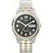 Timex Men's T26481 Elevated Classics Stainless Steel Two-Tone Watch