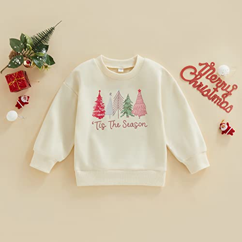 Image of Baby Boy Girl Pumpkin Sweatshirt Tops Toddler Halloween Outfit Long Sleeve Crewneck Pullover Sweater Shirt Fall Clothes