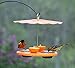 Kettle Moraine Super Oriole Recycled Orange Fruit, Jelly, Mealworm Bird Feeder w/Orange Roof