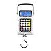 LIHUAN Báscula Electrónica De Cálculo De Precios Portátil con Calculadora Báscula Portátil Báscula De Equipaje Multifuncional De 50 Kg