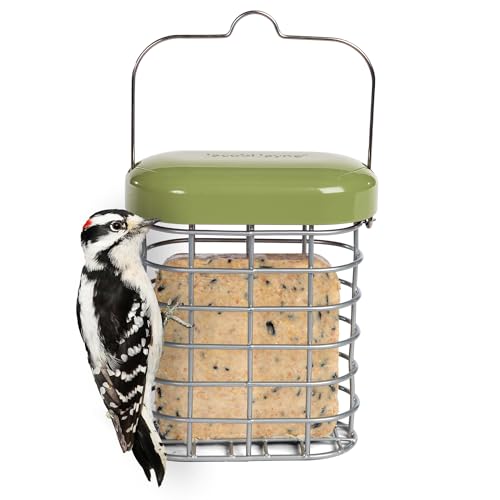 Woodlink Naav1Mnp Caged Seed Feeder, 1 Count