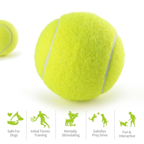PHOEPET 6-Pack Tennis Balls for Beginner Training Practice- Bulk Dog Balls - image 7