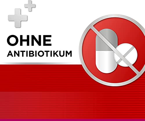 DOBENDAN Spray mit schneller und langanhaltender Wirkung bei Halsschmerzen 15 ml - Image 7