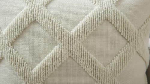 Image of Premium Cotton Cushion Cover, 20 Inch x 20 Inch, Circular Knit Neutral Textured, Square Accent, Cushion Cover Set of 2 for Living Room, Sofa (Diamond-1)