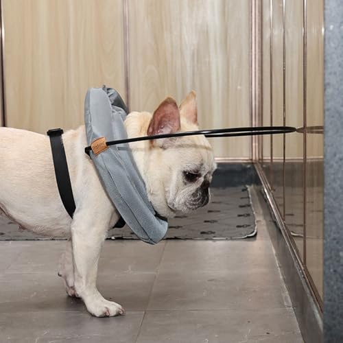 HDKUW Dispositivo de guia para cães pequenos, coleira leve para cães cegos, acessórios ajustáveis pa