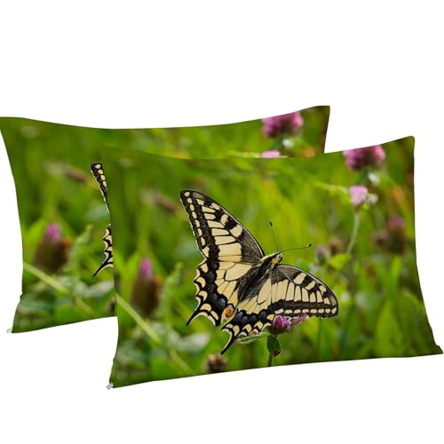 Housse couette papillon 90x190 douce en microfibre抗皱易打理套件 - 5