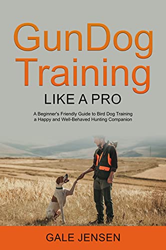 Gundog Training Like a Pro: A Beginner's Friendly Guide to