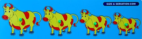 Little Genius Cow Seriation Big with Knob, Multi Color