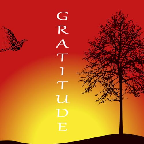 GRATITUDE PAIX &agrave; fond les "GAZ"