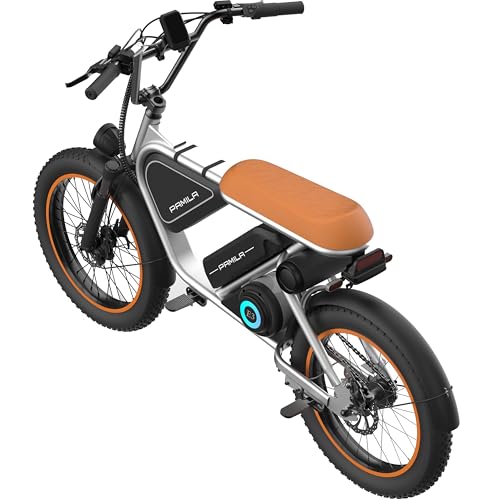 E3 Electric Dirt Bike with Removable Battery, 1000W Mid-Motor, 851.76Wh,