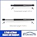 OTUAYAUTO Premium Rear Hatch Struts Replacement for Ford Focus 2005-2011, Mazda 6 2003-2008 Sport Utility Set Shocks Lift Gas Spring Supports Trunk Lid (Pack of 2)
