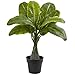 Nearly Natural 16in. Mini Banana Artificial Plant