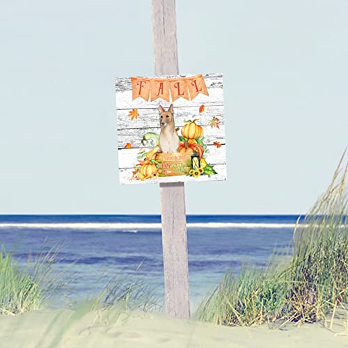 Plaque murale en bois Fall Pumpkins 30x30 cm décor rustique pour bureau