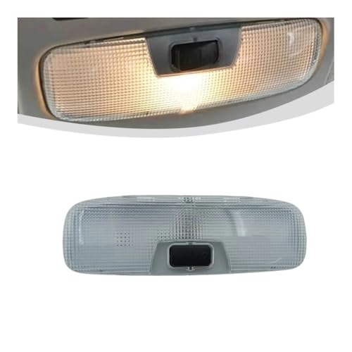 Luz de lectura delantera soluciona fallos de iluminación en Focus y C-MAX 5
