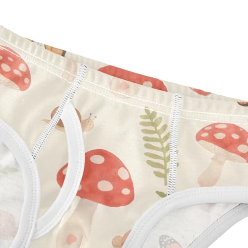 GuoChe Underwear Toddler Boy Pure Cotton in Sizes 2T-8Y4