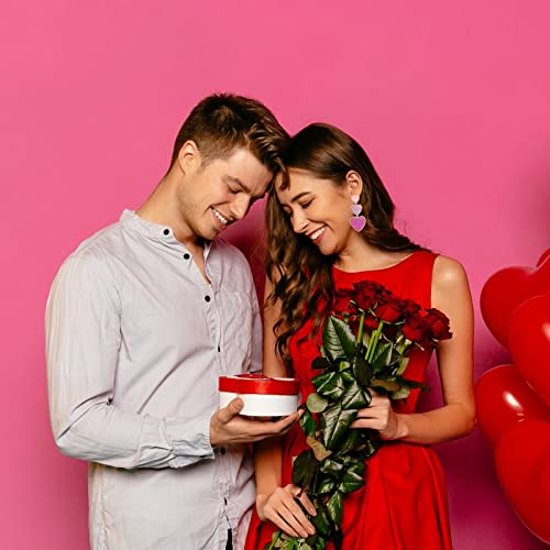 Heart Earrings For Women Valentines Earrings Red Heart Stud Earrings For Girls Valentines Day Gifts For Her (A:style 1) #TOP1