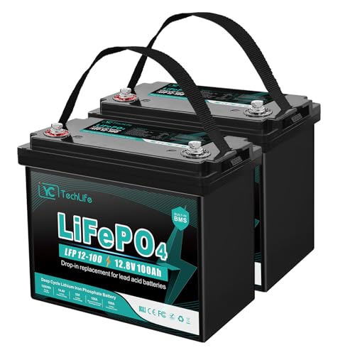 YCTechLife 12V 100Ah LiFePO4 Battery, 15000 Deep Cycle Rechargeable Lithium Battery with Built-in 100A BMS, Low Temperature Protection, Perfect for Marine, RV, Boat, 2 Pack