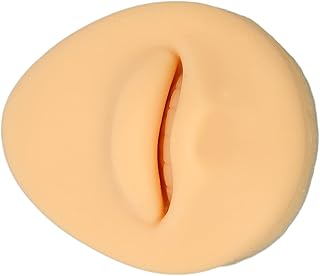 Silicone Mouth Model, Human Mouth Model Fake Mouth Model Artificial Mouth Model Mouth Display Tool Body Part Display for Practicing Teaching Instructions Education Display