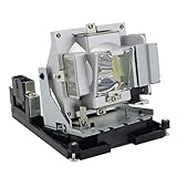 Dekain for Optoma TH1060 Projector Lamp (Original Osram Bulb Inside)