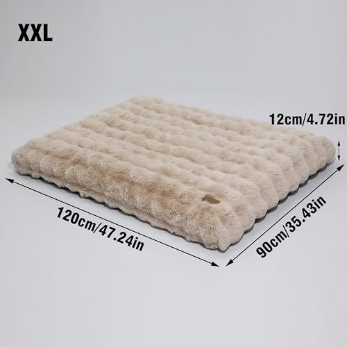 BingoPaw Hundebett Grosse Hunde waschbar: XXL Hundebetten flauschig Plüsch Hundematte für große mittelgroße Hunde, Hundekissen wasserdicht abnehmbar rutschfest Haustierbett Beige, 120x90x12 cm