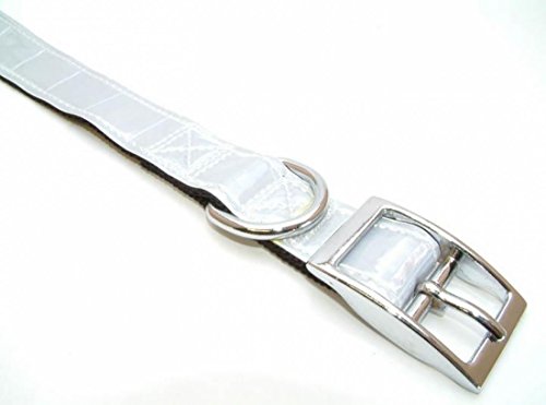 Brevetto collare 25 mm x 70 cm argento