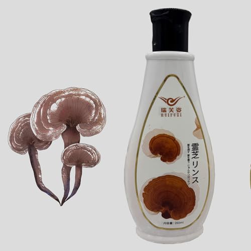 iRfBVi[ACX`[g[ggAyA/_[Wg[ggAwA}XNjAVv[iRfBVi[AwA[o[A{fBEHbVjARfBVi[ZbgAňэ܁AŃVv[ (Vv[)