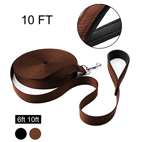 Hi Kiss 6FT 10FT Nylon Dog Leash, Strong and Durable Traditional Style Leash
