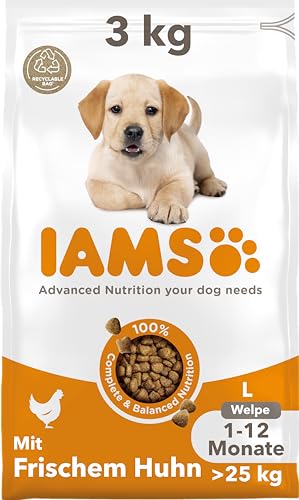 IAMS Junior Hundefutter trocken mit Huhn - Welpenfutter für Welpen im Alter von 1-12 Monaten, geeignet für große Rassen, 3 kg