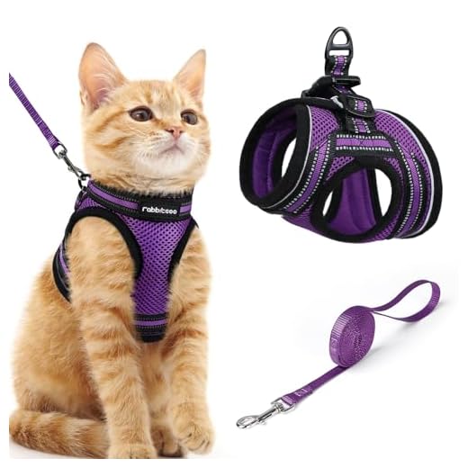 rabbitgoo Cat Harness and Leash Set for Walking Escape Proof, Adjustable Soft Kittens Vest with Reflective Strip for Cats, Comfortable Outdoor Vest, Purple, M