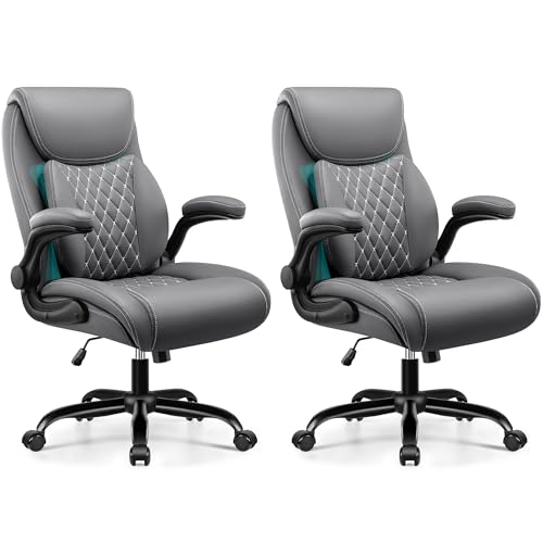 Image of Ergonomic Office Chairs with Lumbar Support for Back Pain Relief
