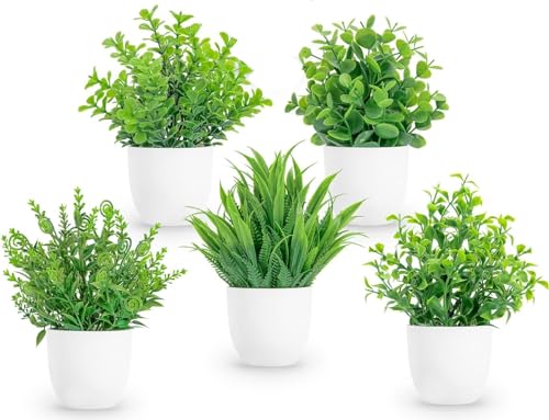 Image of Dekorly Artificial Plants Small Fake Potted Plants, Mini Eucalyptus Potted Faux Decorative Grass Plant with White Pot for Home Decor, Indoor, Office, Desk, Shelf, Table Decoration (Green-5)