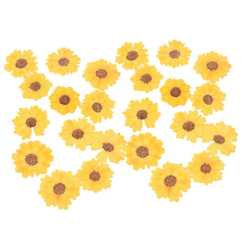 Flores secas prensadas 24 piezas para manualidades