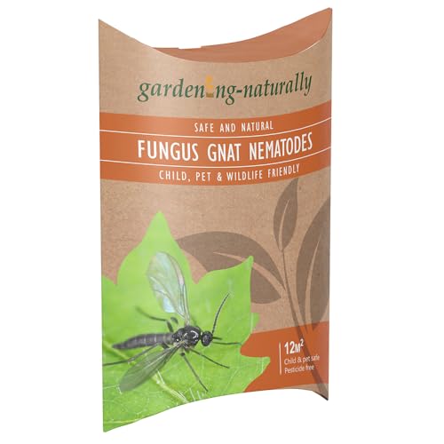 Fungus Gnat Nematodes for Houseplants and Indoor Plants Natural Soil Drench Treatment for Fungus Gnat Larvae in Compost Treats up to 12 sq.m