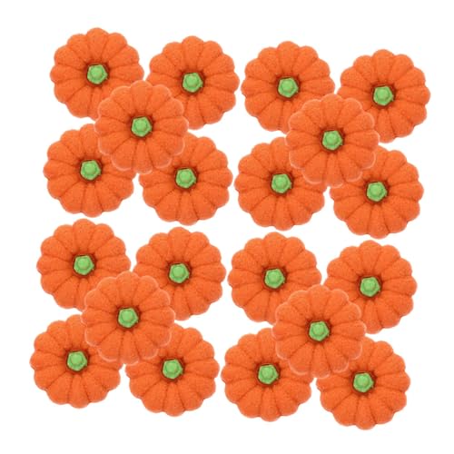 HONMEET 80�p���v�L������ �~�j�H�G�w�p�i ������V �n���E�B�� ���ӍՃp�[�e�B�[�����I�����W�F ���w�������y�����w�K�⏕�c�[��