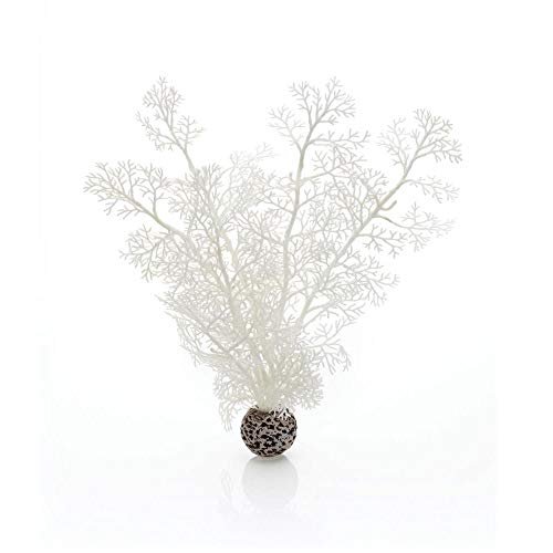 Sea Fan Medium White