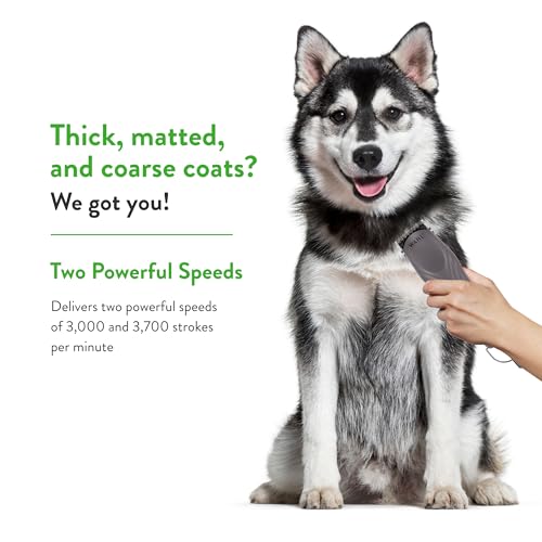 Wahl Pro Animal KM10+ Clipper con cable – Nueva hoja #10 Prime Series, tecnología pendiente de patente LOCKGUARD y diseño de carcasa con textura, cortapelos para gatos, perros y caballos, ligero, 2 - Imagen 4