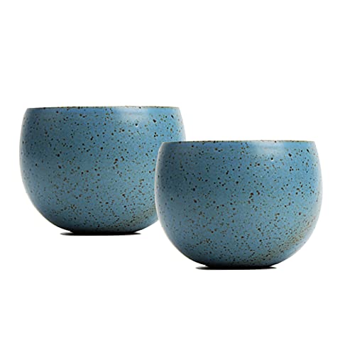Qmfive Hand Painted Ceramic Color Tea Cup For Puer Tea (Blue*2Pcs) #TOP2