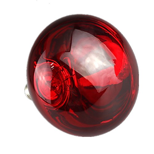 xingbailong Red Surface Heat Lamp Waterproof Anti-explosion Light Bulb for Piglet Chicken Duck Birds 100W