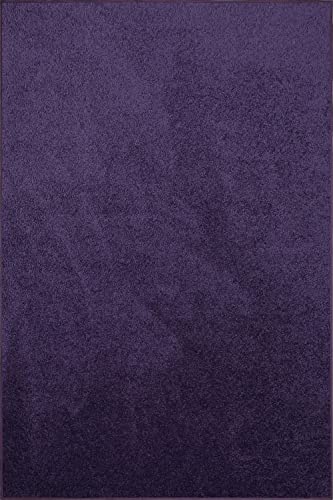 Ambiant Pet Friendly Solid Color Area Rugs Purple - 2' x 3' Rectangle, Indoor, Stain Resistant, Perfect for Living Room, Bedroom, Dining Room, Entryway, Doorway, Pet & Kids Friendly Rug, Wedding