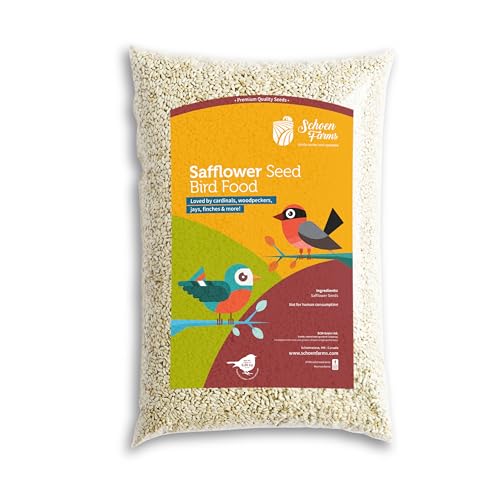 Schoen Farms Safflower Seeds Bird Food – 2.27 kg Bag – Natural Seed for Cardinals, Finches & Doves – Squirrel-Resistant, Canadian Grown