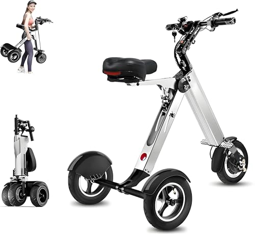 XDLYWUZIQ Patinete De 3 Ruedas para Adultos, Autonomía De 40-48 Km, Motor De 250 W, con Batería De 36 V Y 8 Ah E Interruptor De Llave, Triciclo Eléctrico con Función De Marcha Atrás Grey