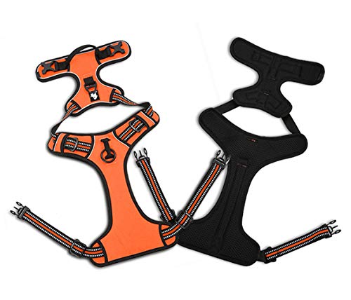 WINHYEPET Truelove Hundegeschirr No-Pull Reflektierendes verstellbar Haustiergeschirr mit 2 Leinenclips, einfachem Steuergriff für kleine, zum mittelgroße und große Hunde, TLH5651