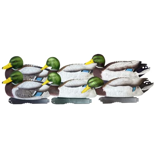 Banded ProGrade XD Series January Mallards All Drake 6 Pack