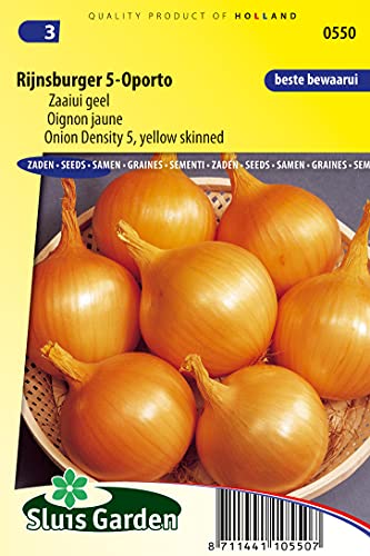 Oignon jaune Rijnsburger 5 Oporto - Les variétes d'oignons