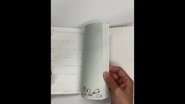 Amazon.co.jp: カミオジャパン スヌーピー 手帳 2025年 B6