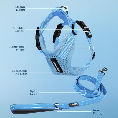 Image of Best Pet Supplies Voyager Step-in Lock Pet Harness w Reflective Pet Leash Combo Set with Neoprene Handle 5ft - Supports Small, Medium and Large Breed Puppies /Cats - Baby Blue Set, M