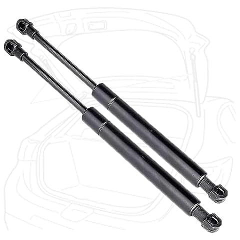 Vérins à Gaz SORAD pour Renault Modus Cover